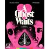 A Ghost Waits