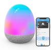 Govee RGBIC Night Light