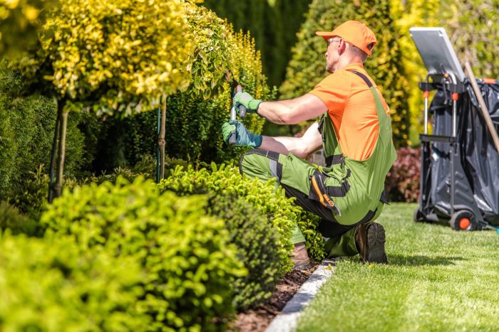 Garden Landscaping