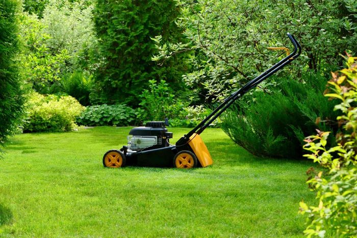 Garden Maintenance