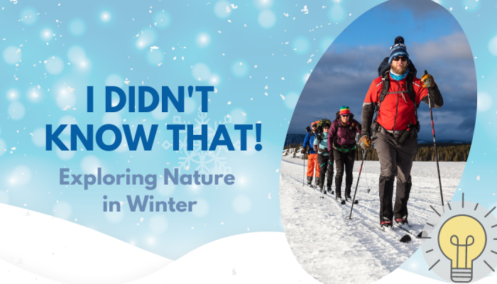 Exploring the Natural Beauty Through Winter Hikes