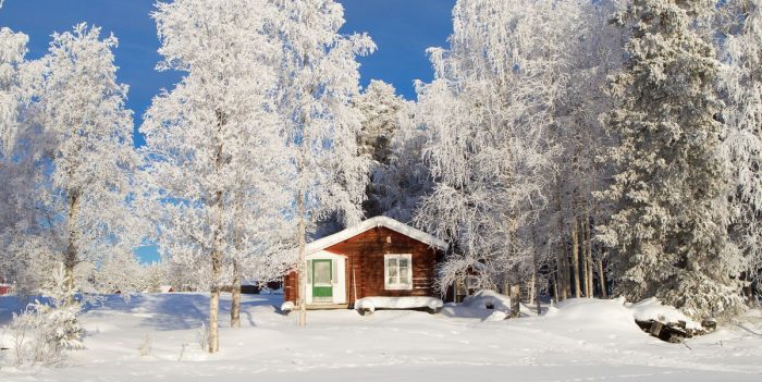 Snowy Landscapes in the UK A Winter Wonderland