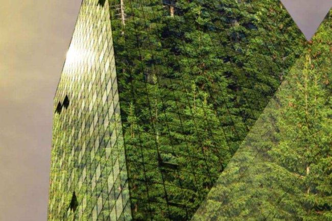 Green Building Solutions