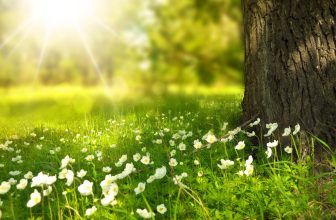 UK Spring Festivals Weekend A Guide to Rejuvenating Experiences