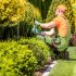 Plant Care