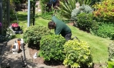 What Are the Garden Maintenance Practices in England?