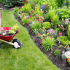 Plant Care