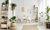 Scandinavian Style Decoration and the Use of Natural Light