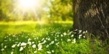 UK Spring Festivals Weekend A Guide to Rejuvenating Experiences