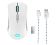 Lenovo Legion M600 Wireless Gaming Mouse (Stingray)