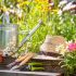 Canopy and Patio Prices in the UK