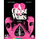 A Ghost Waits