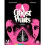 A Ghost Waits