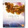 Primer + Upstream Color: Two Films by Shane Carruth