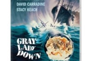 Gray Lady Down (Limited Edition)