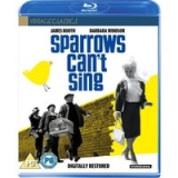 Sparrows Can’t Sing