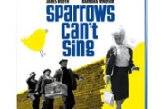 Sparrows Can’t Sing