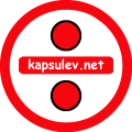 Net Capsule Homes