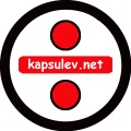 Capsule Homes