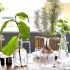 Garden Landscaping